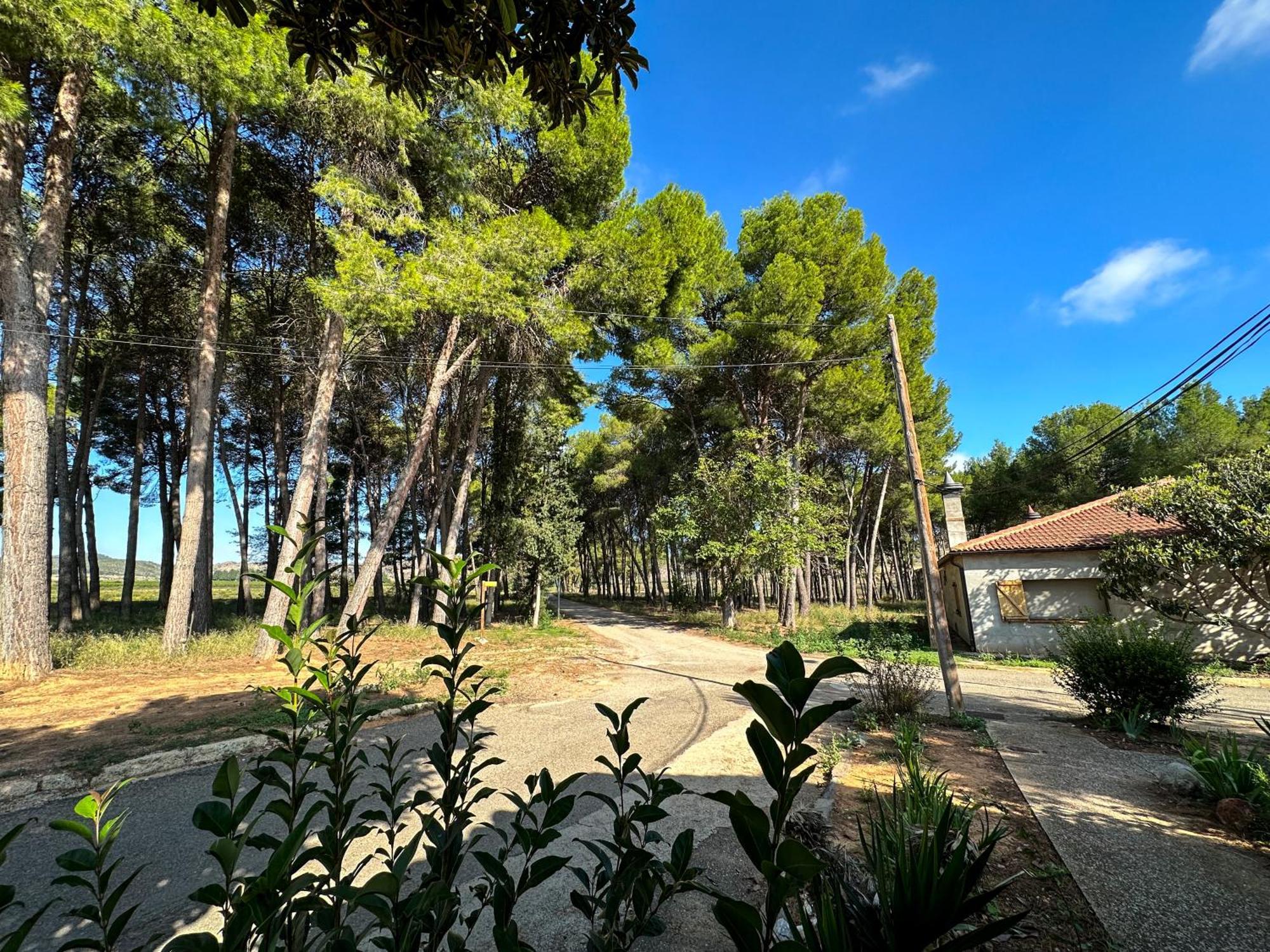 Casa Rural Los Pinos Valmuel Exteriér fotografie