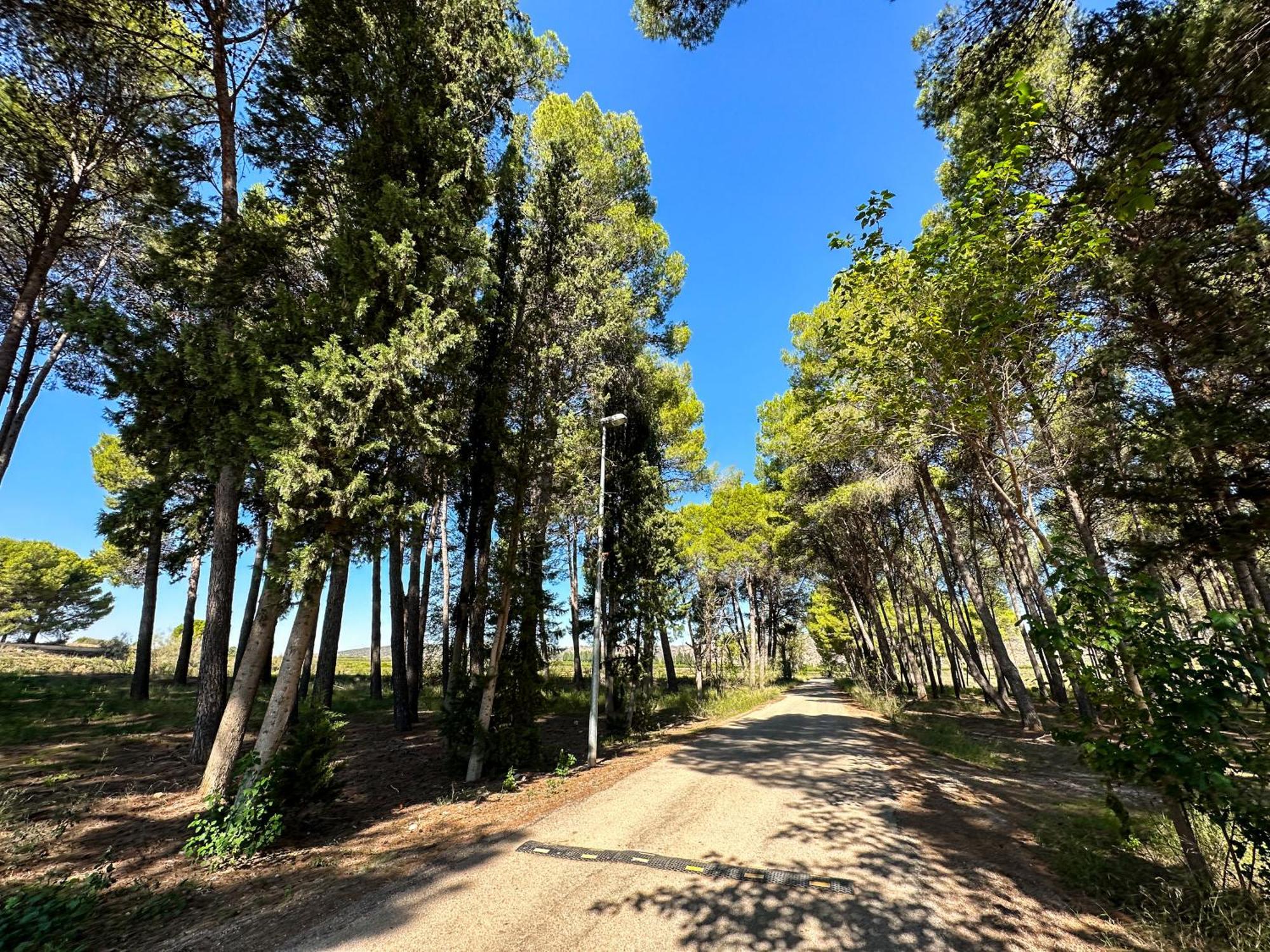 Casa Rural Los Pinos Valmuel Exteriér fotografie
